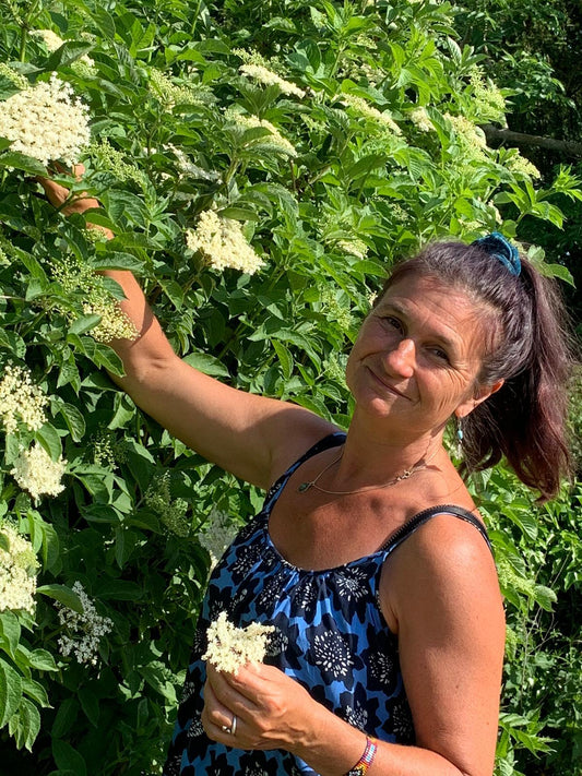 ELDERFLOWER CORDIAL
