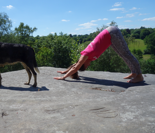Downward Facing Dog Stretch explored