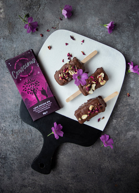 Raw Vegan Choc Ice