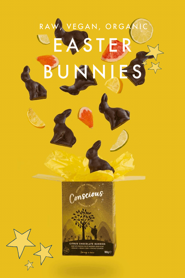 Citrus Chocolate Bunnies are Launched!