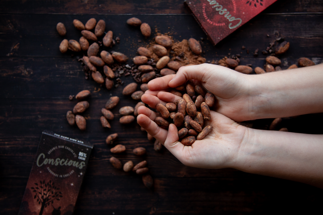 Sustainable, Slave Free, Organic and Tasty! Our Cacao Promise to You!